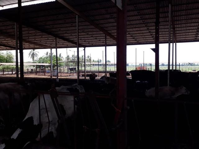 Foto de la galeria de imagenes